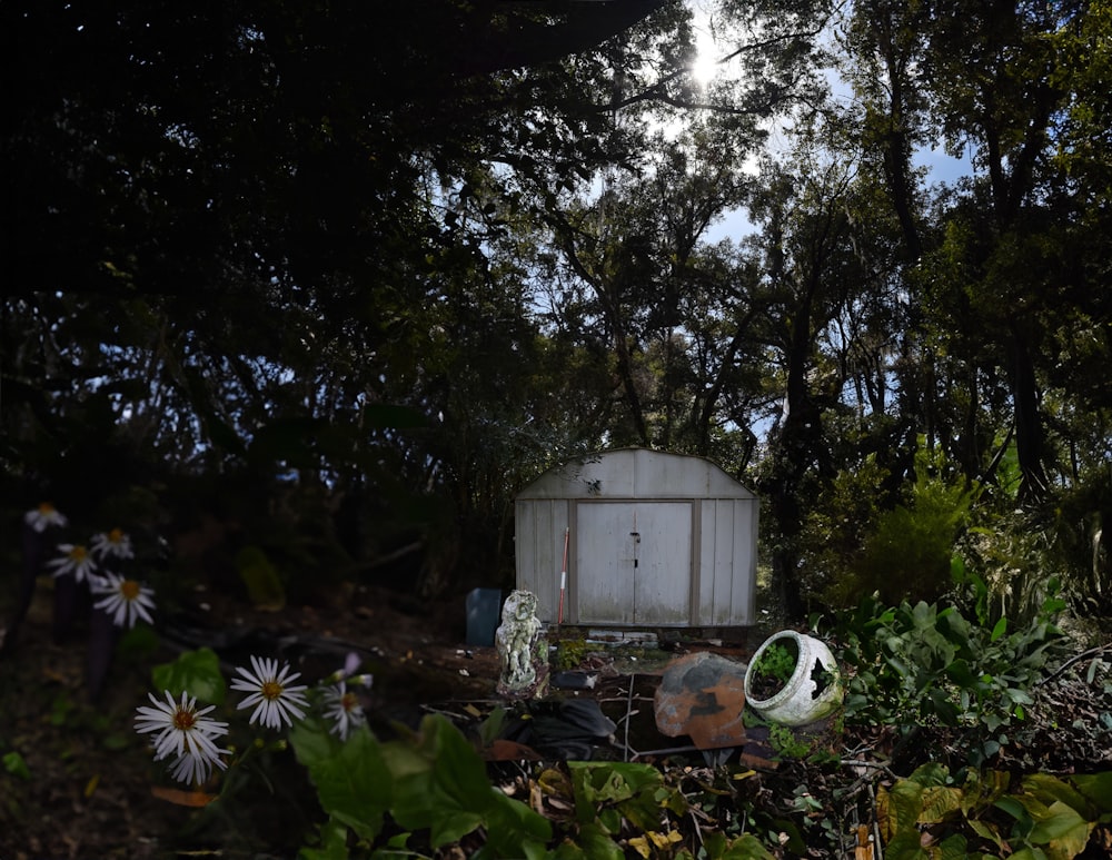 a white shed sitting in the middle of a forest