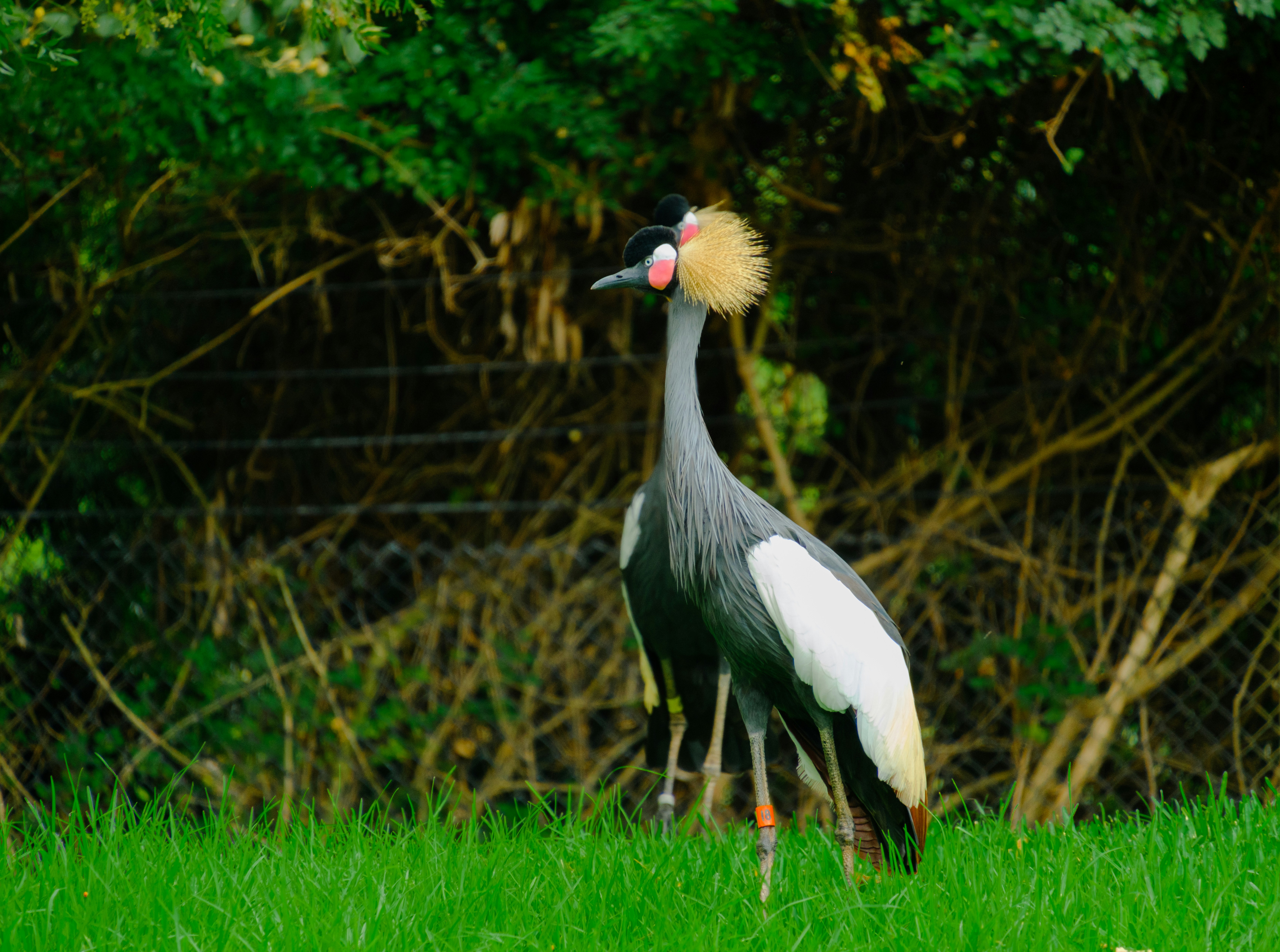 Photo by april_vasquez