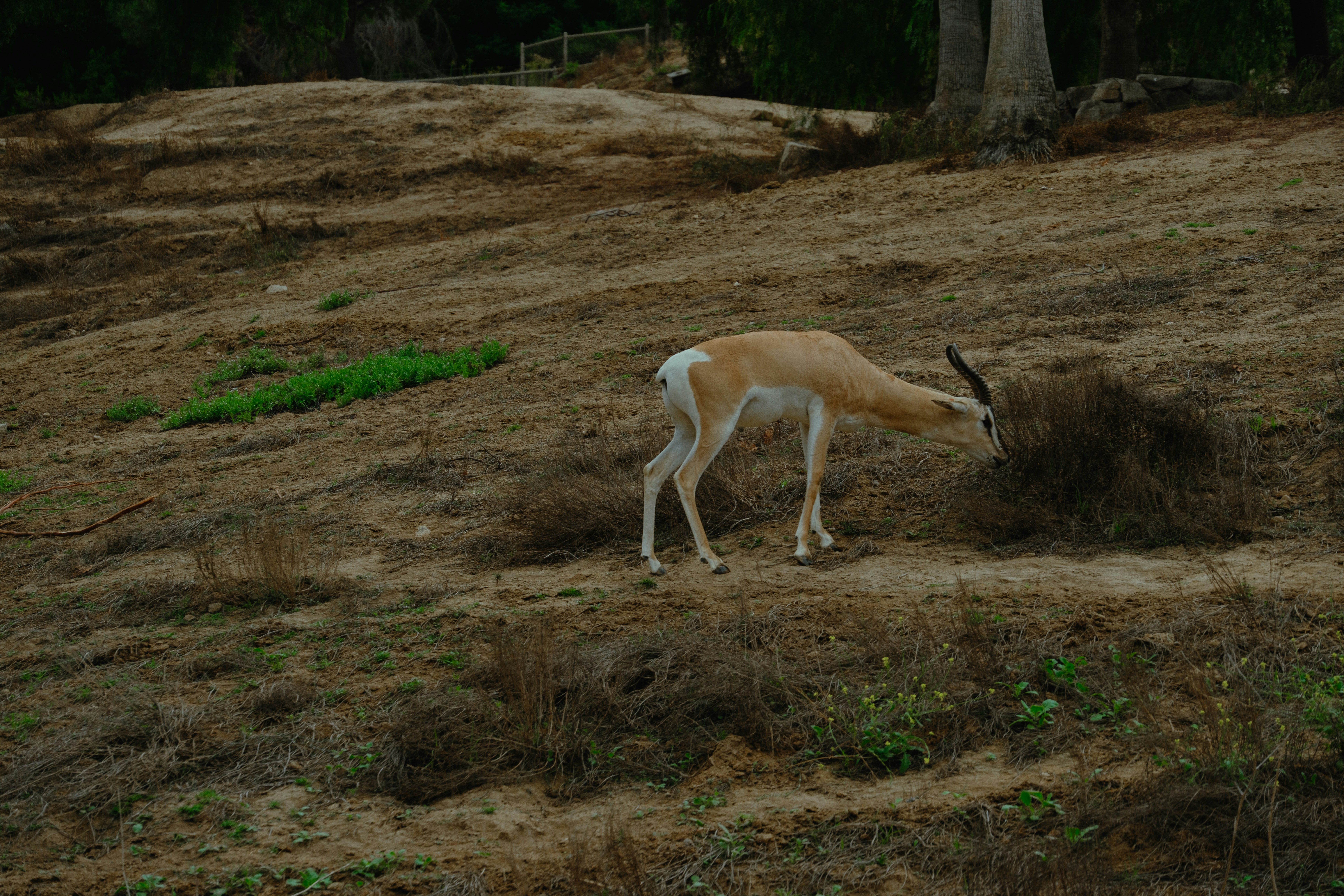 Photo by april_vasquez