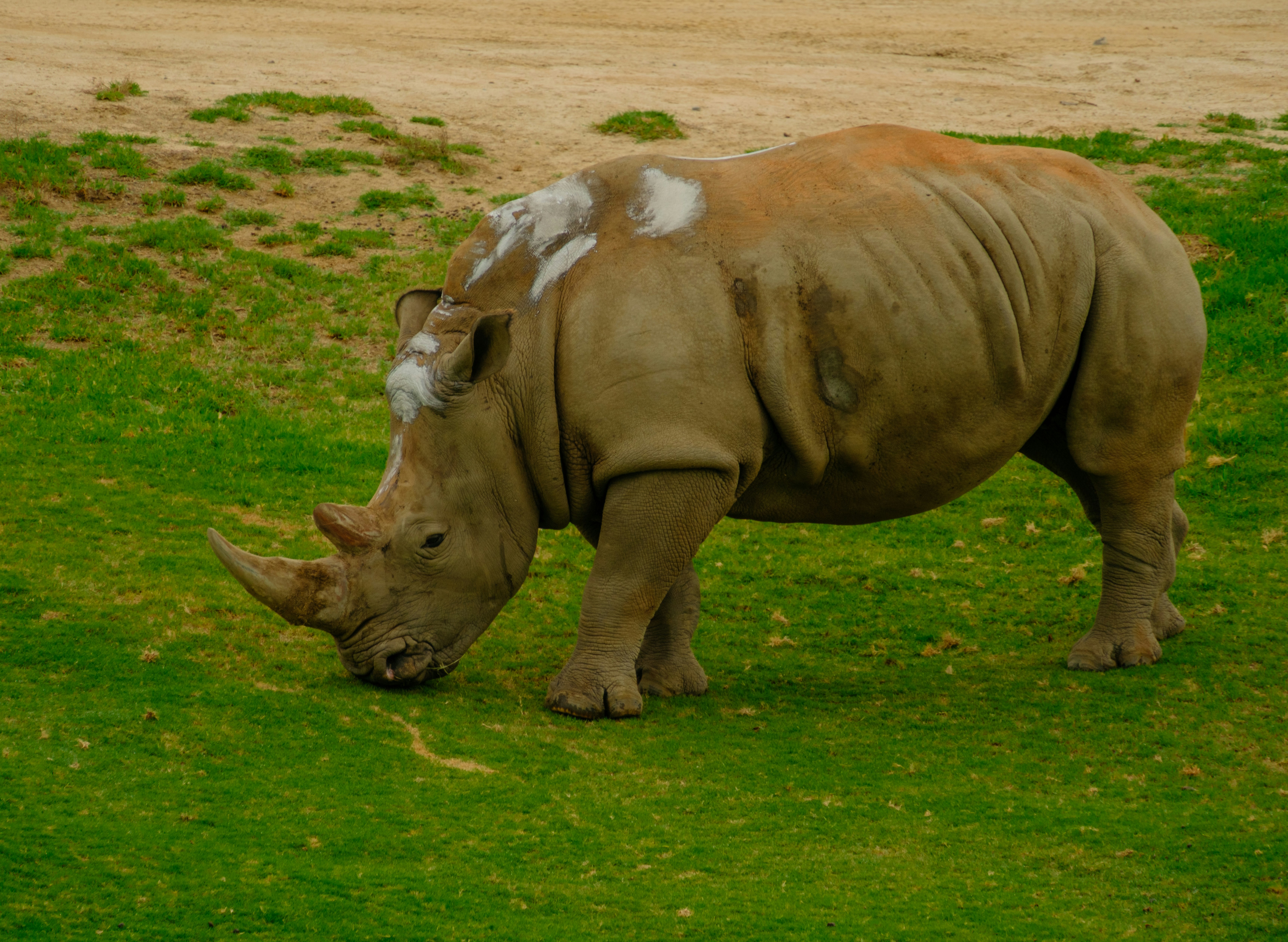 Photo by april_vasquez