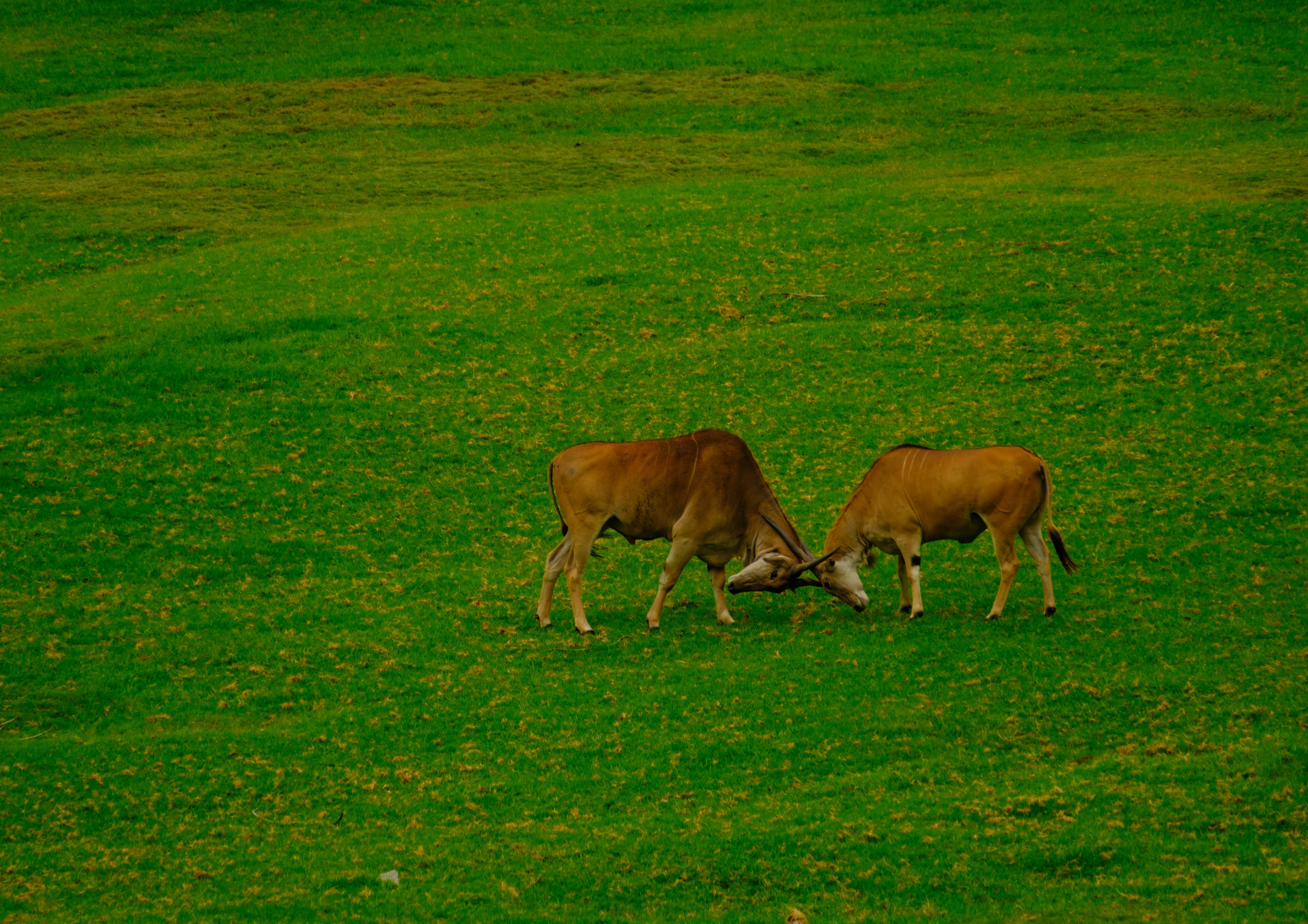 Photo by april_vasquez