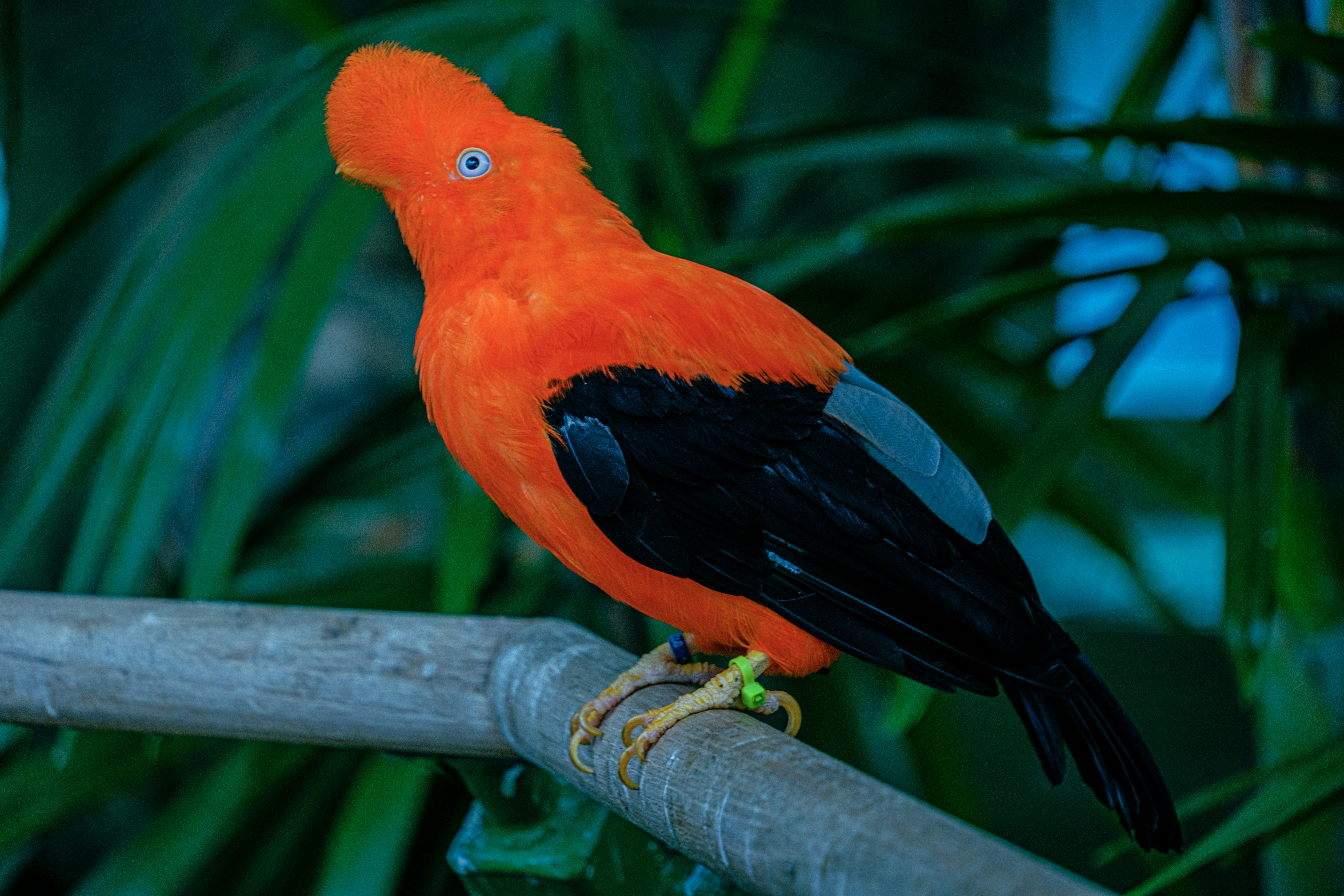 Photo by april_vasquez