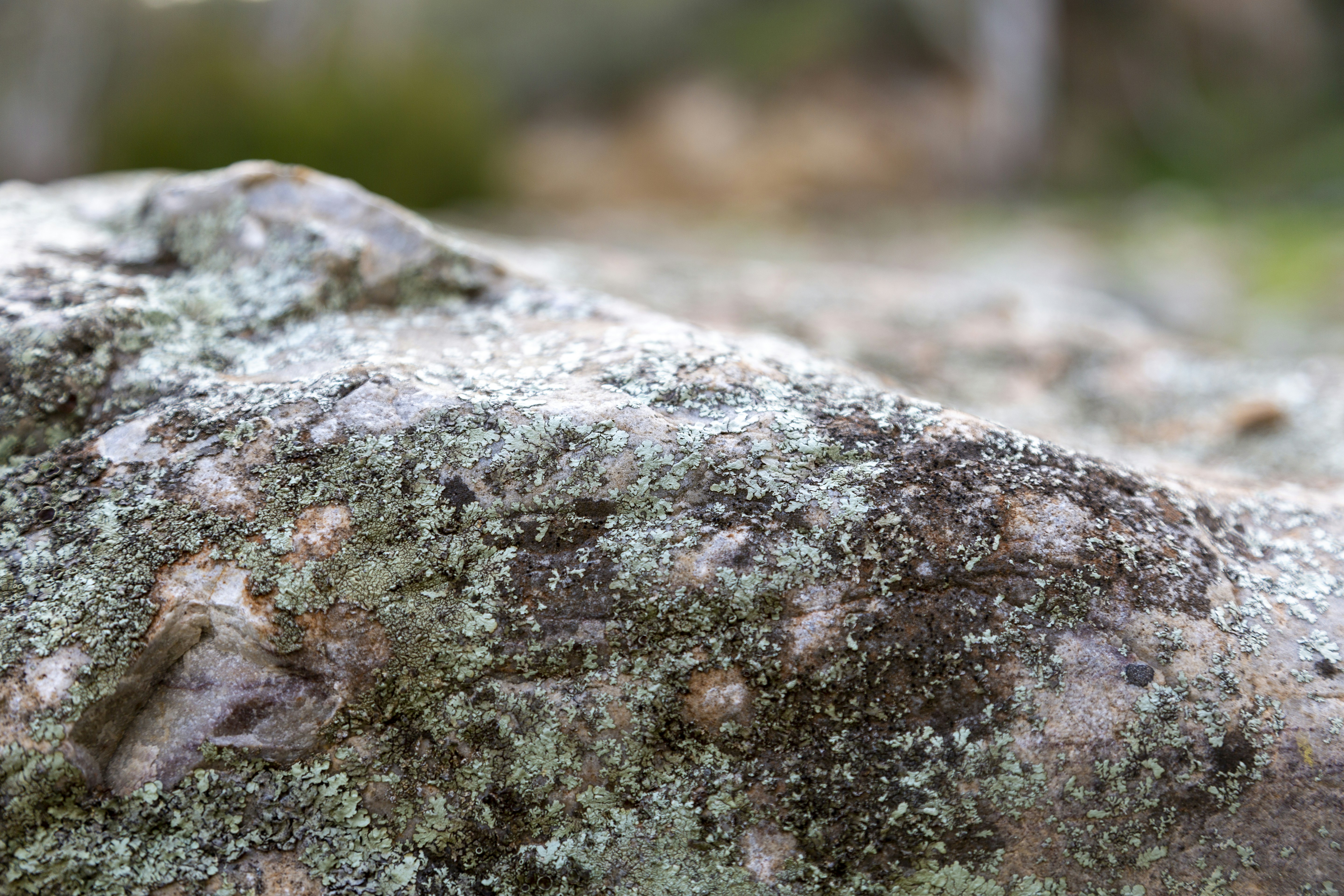 Photo by stephenmabbs