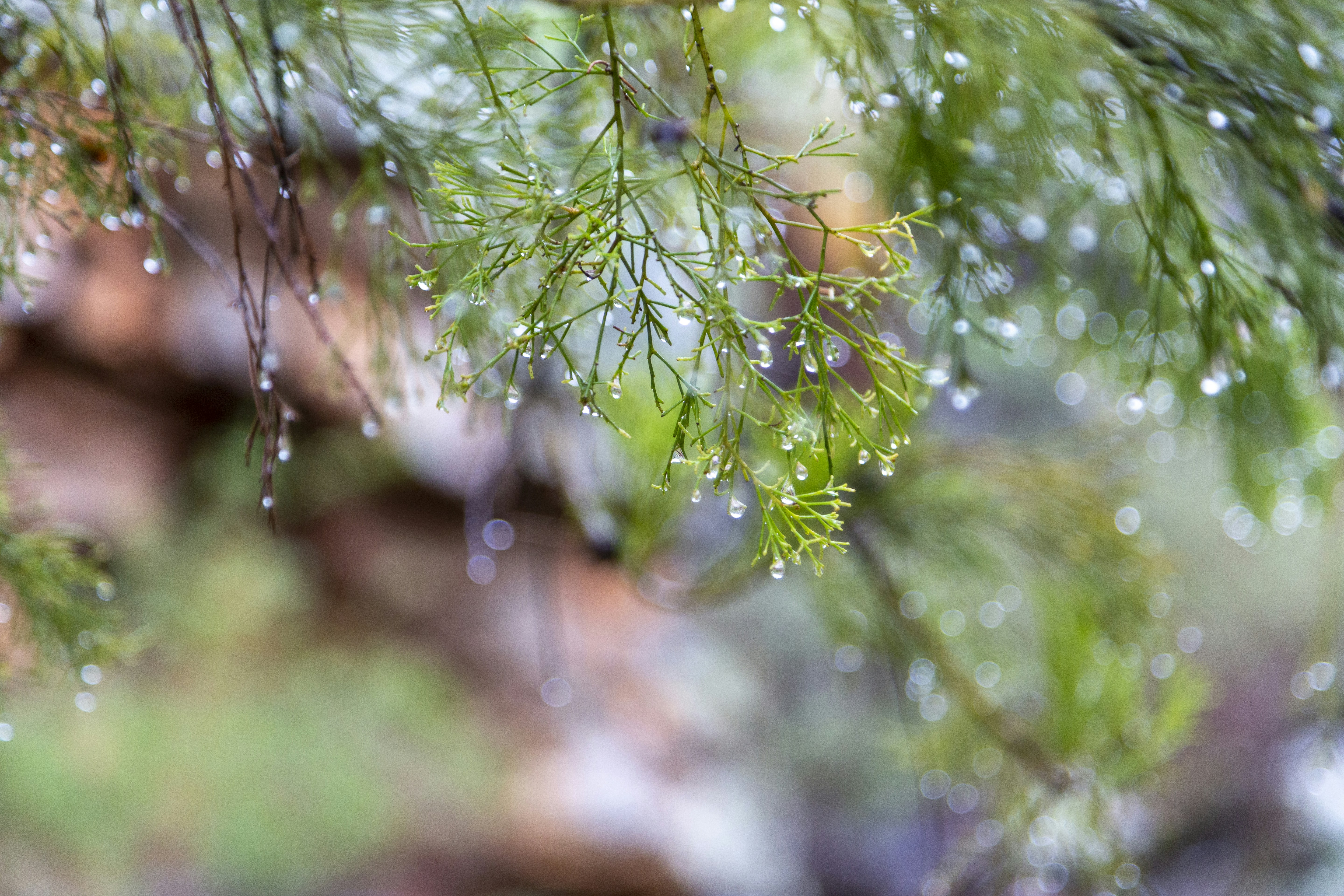 Photo by stephenmabbs