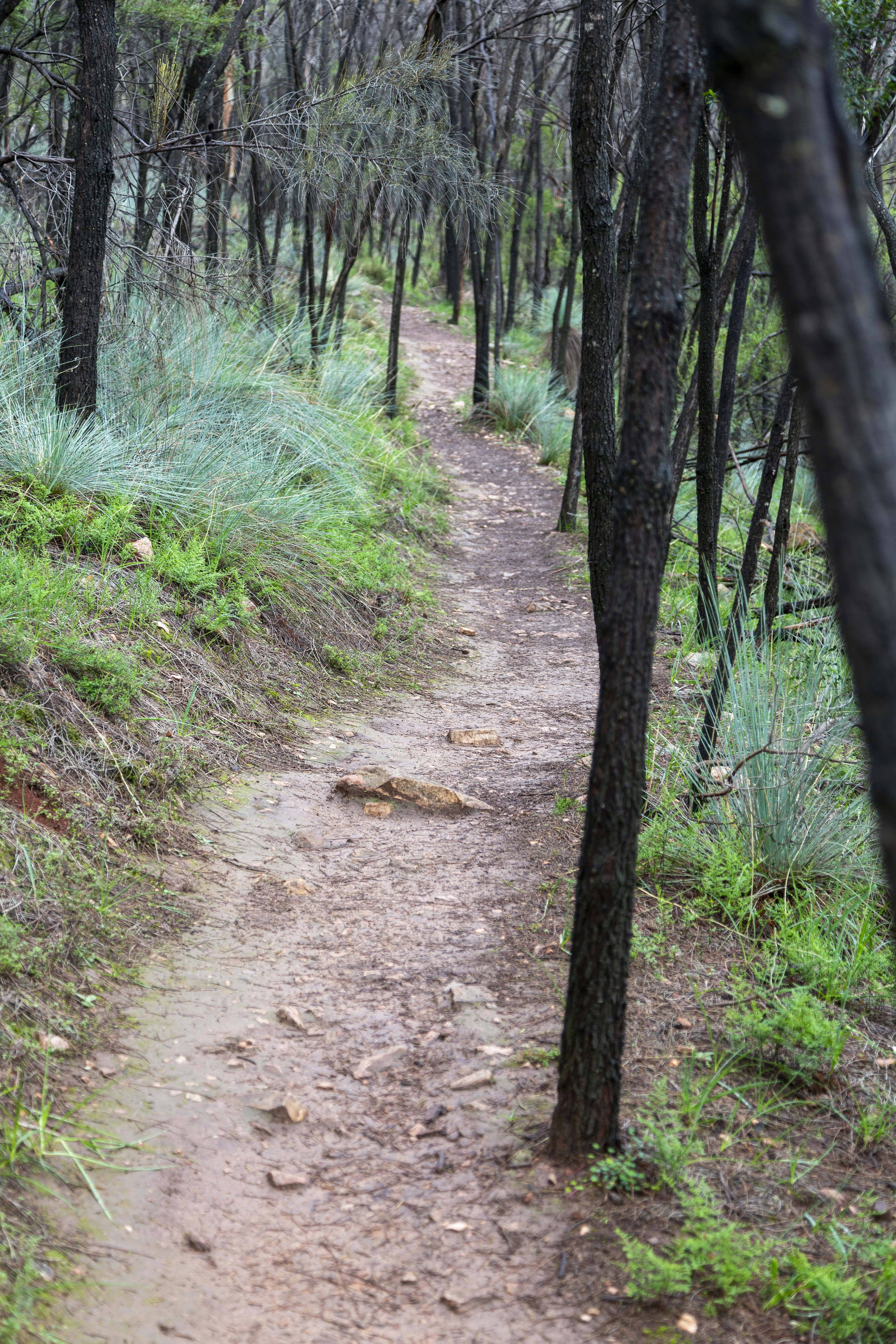 Photo by stephenmabbs