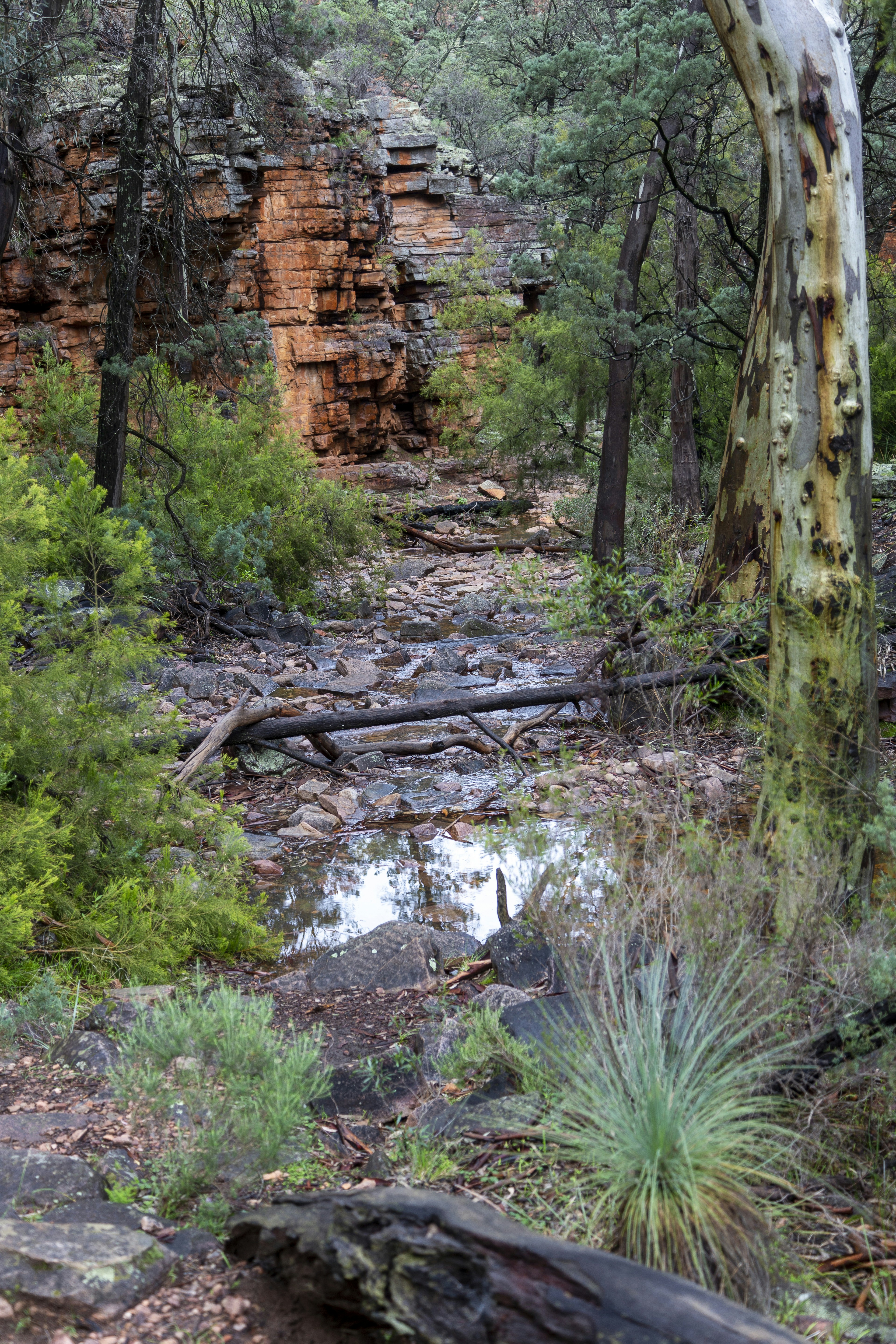 Photo by stephenmabbs