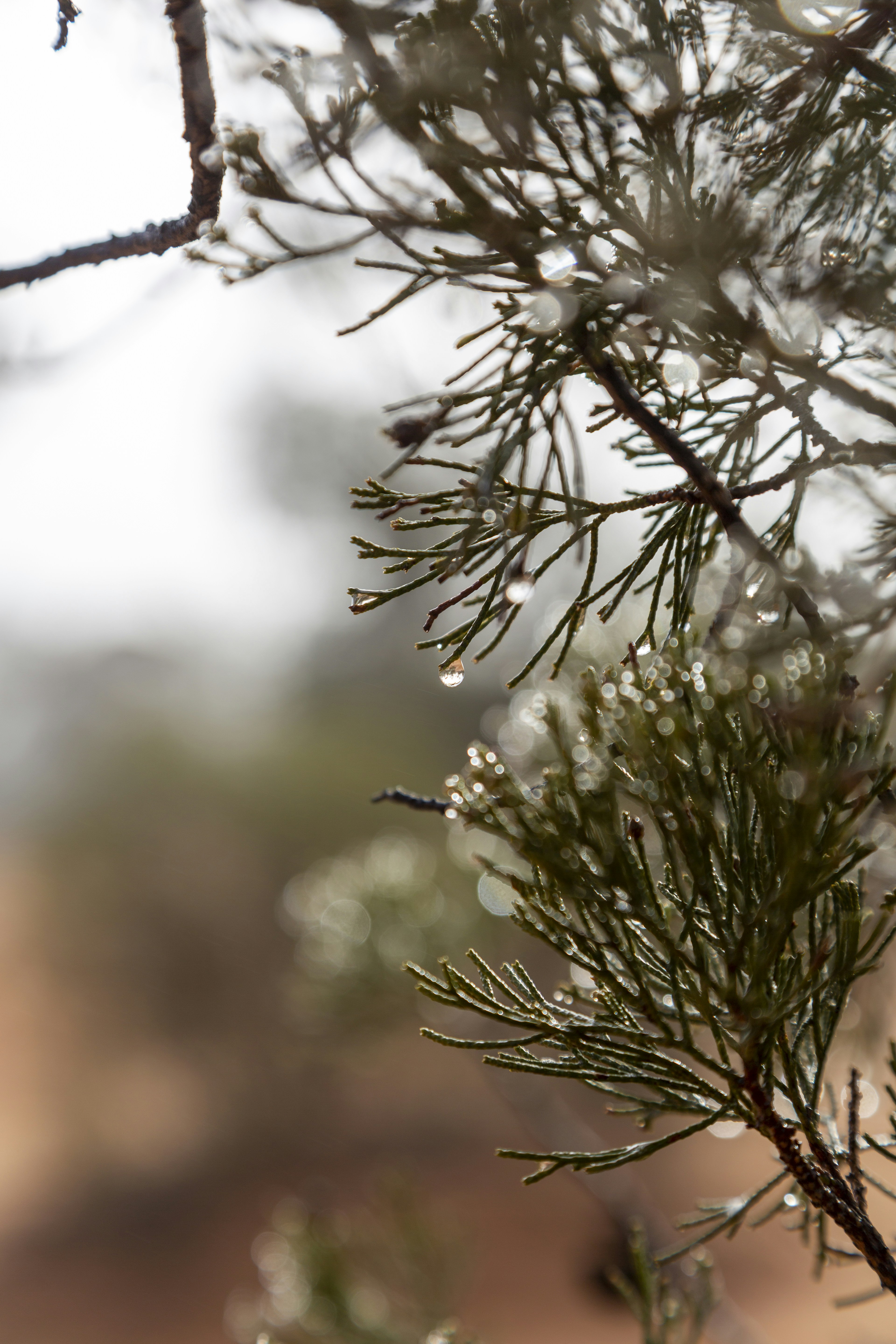 Photo by stephenmabbs