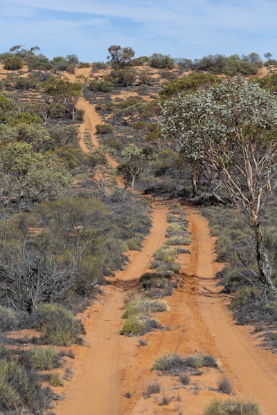 Australian outback