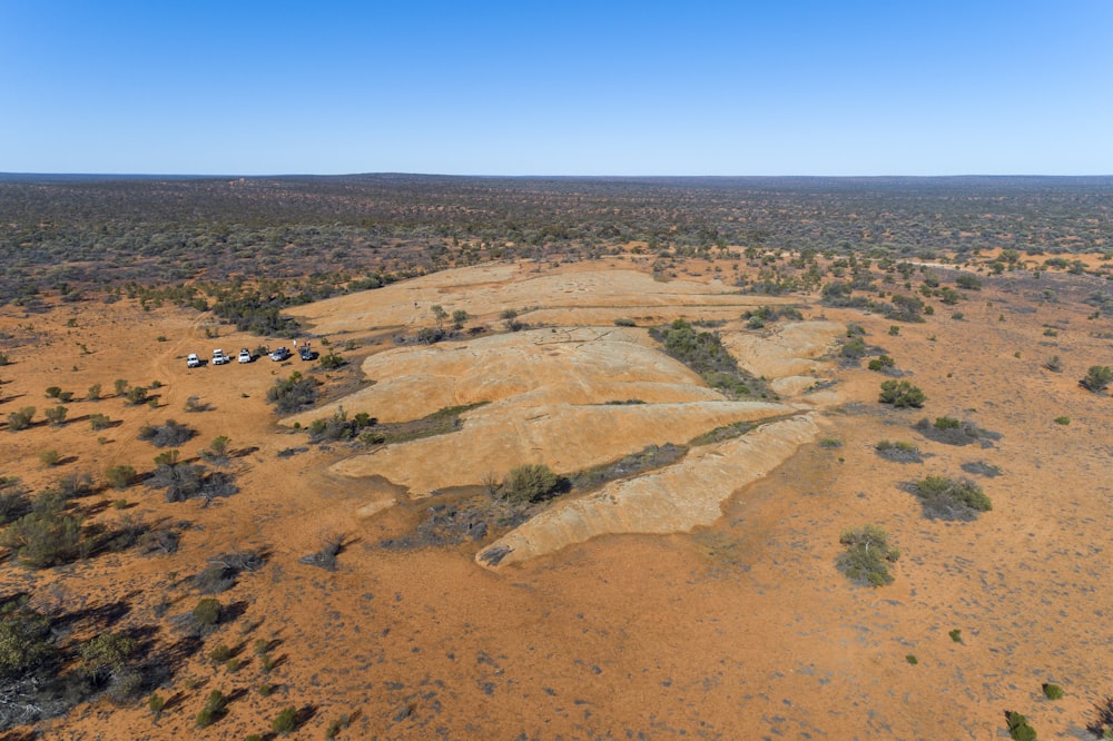 an aerial view of a desert with trees and bushes