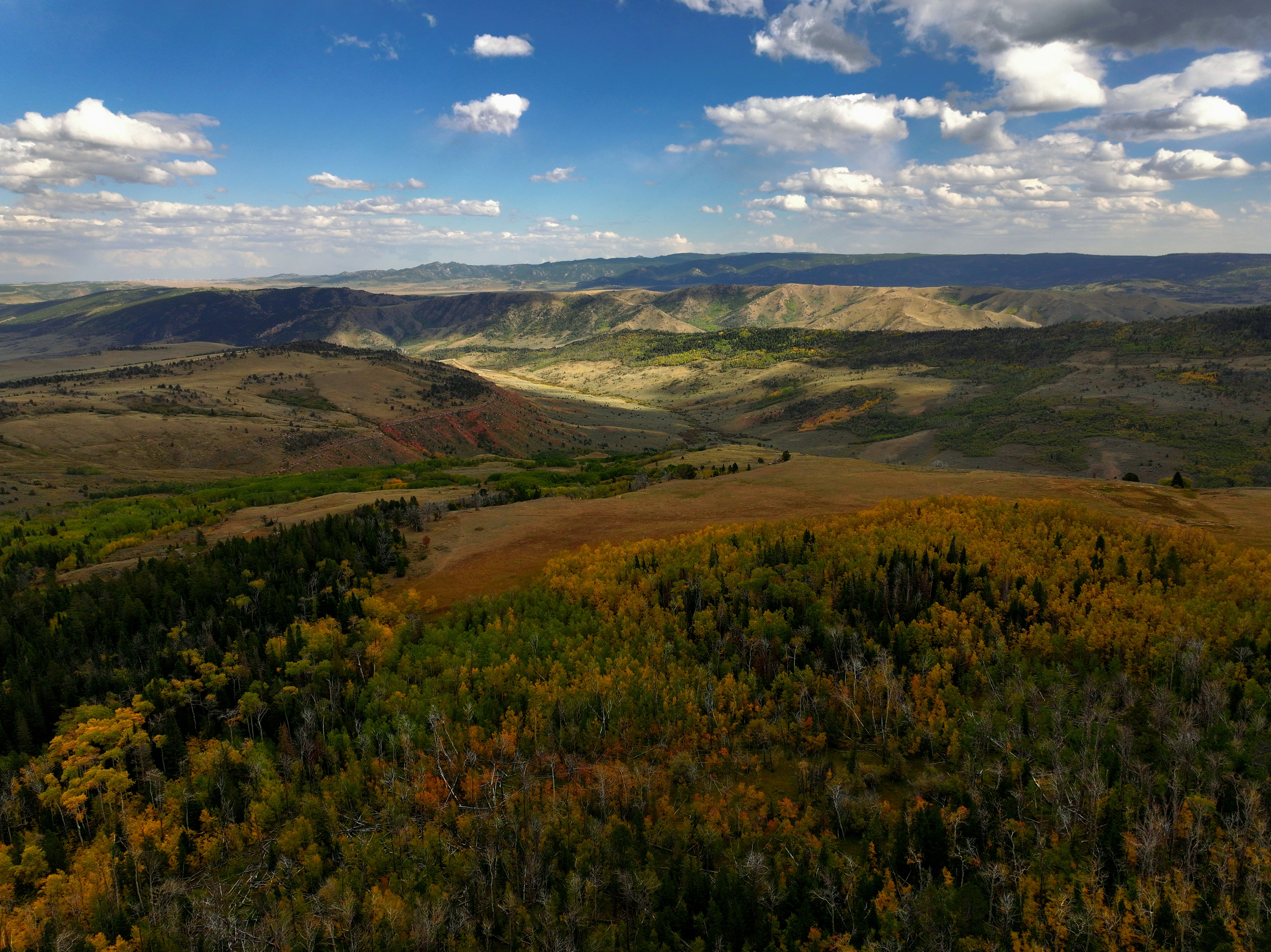 Photo by rich_gonzales17