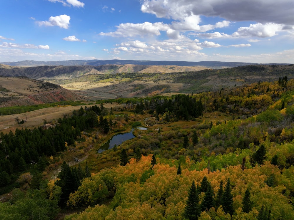 a scenic view of a valley surrounded by trees