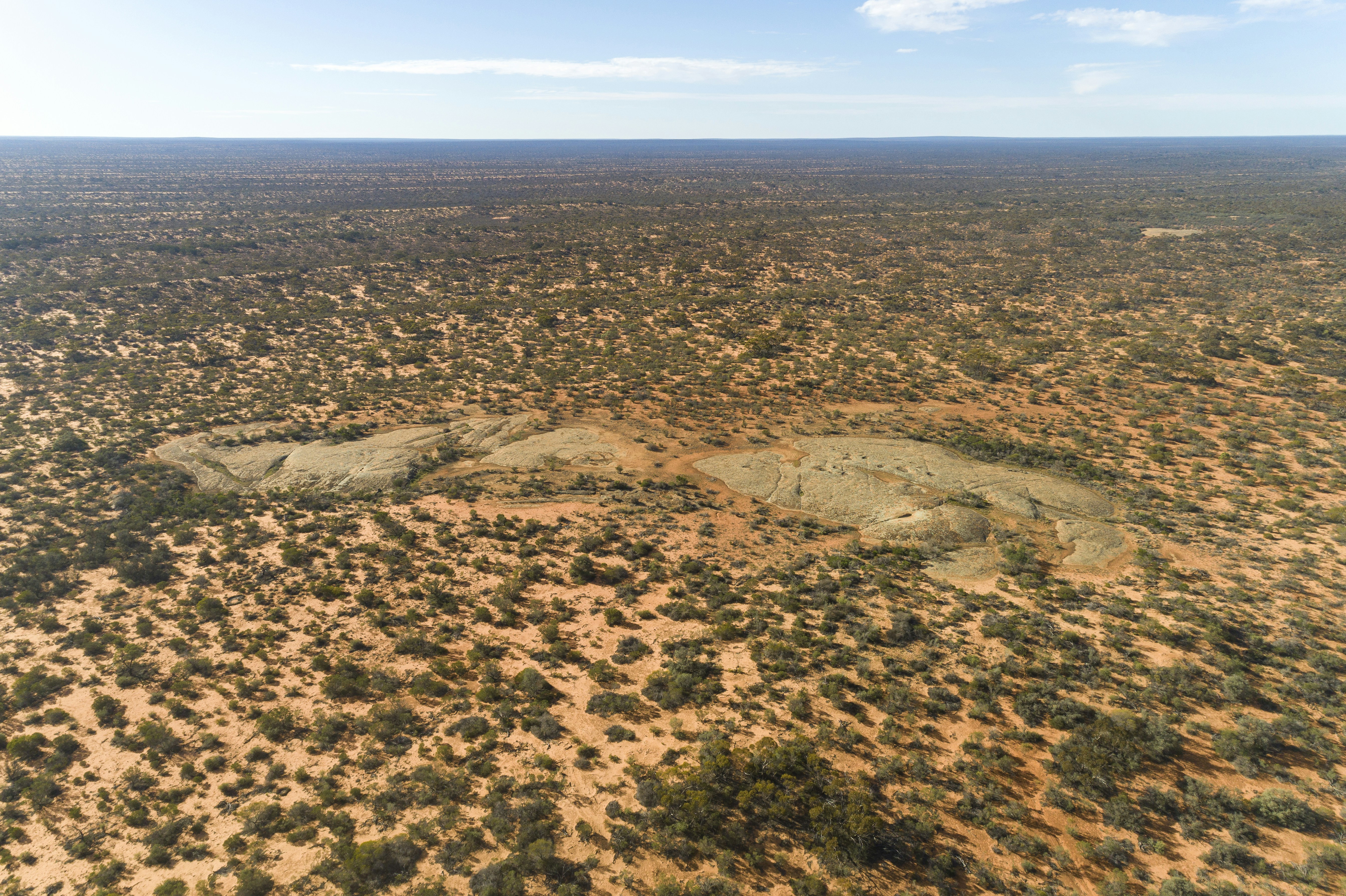 an aerial view of a desert with sparse trees