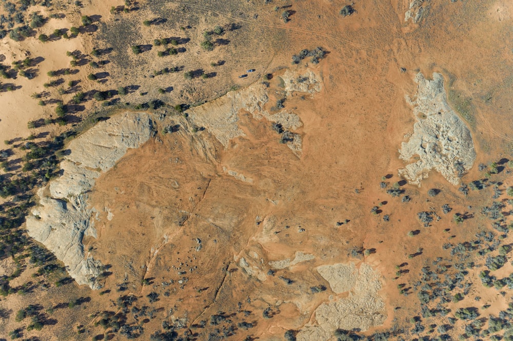 an aerial view of a barren area with trees