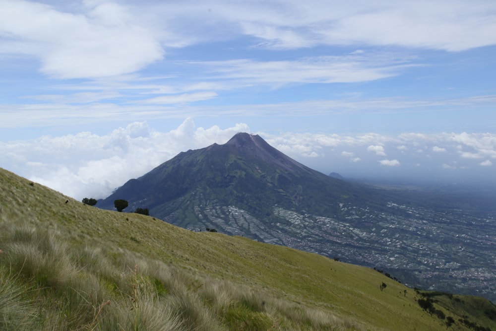 a grassy hill with a mountain in the background