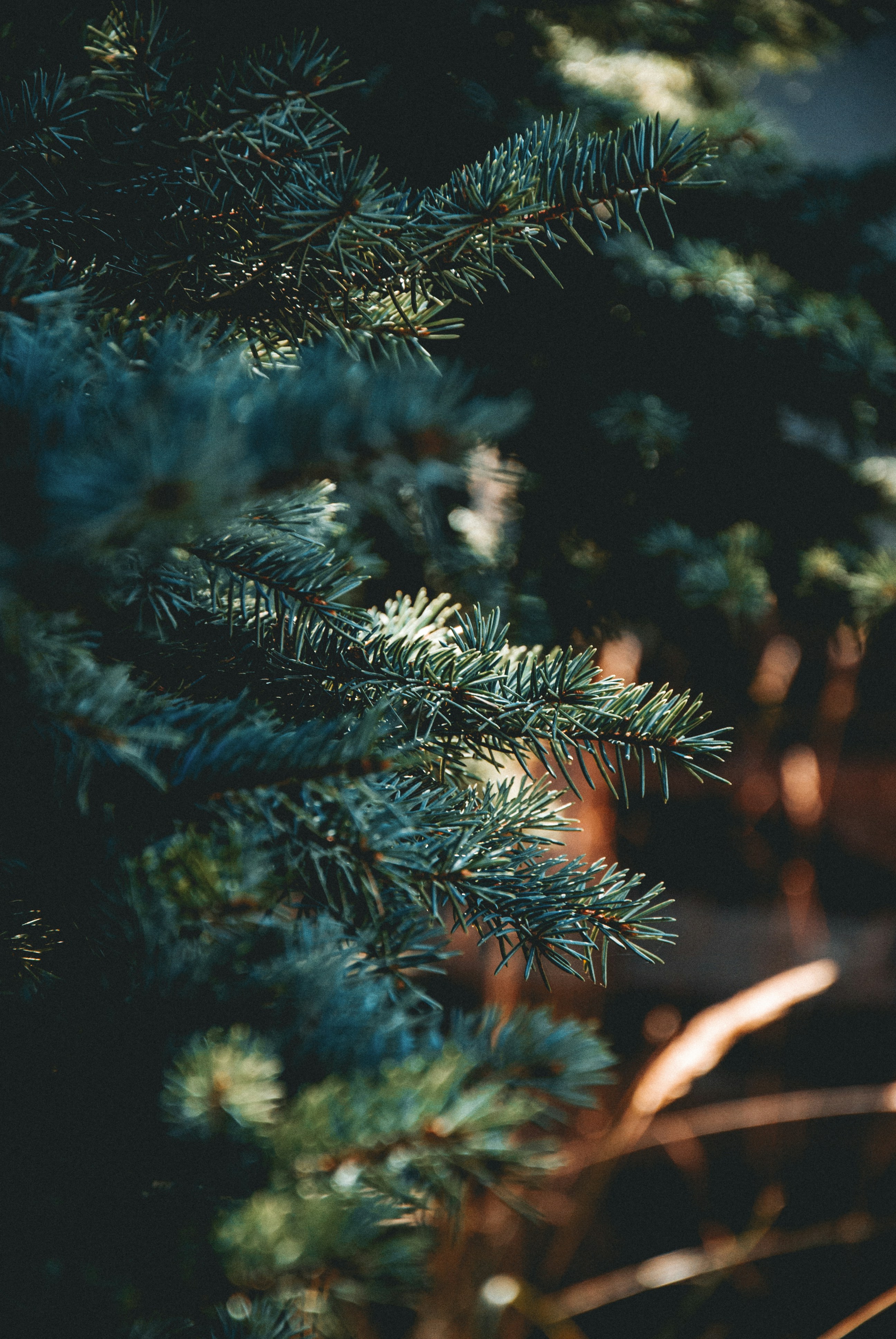 Photo by iamfrancismorgan