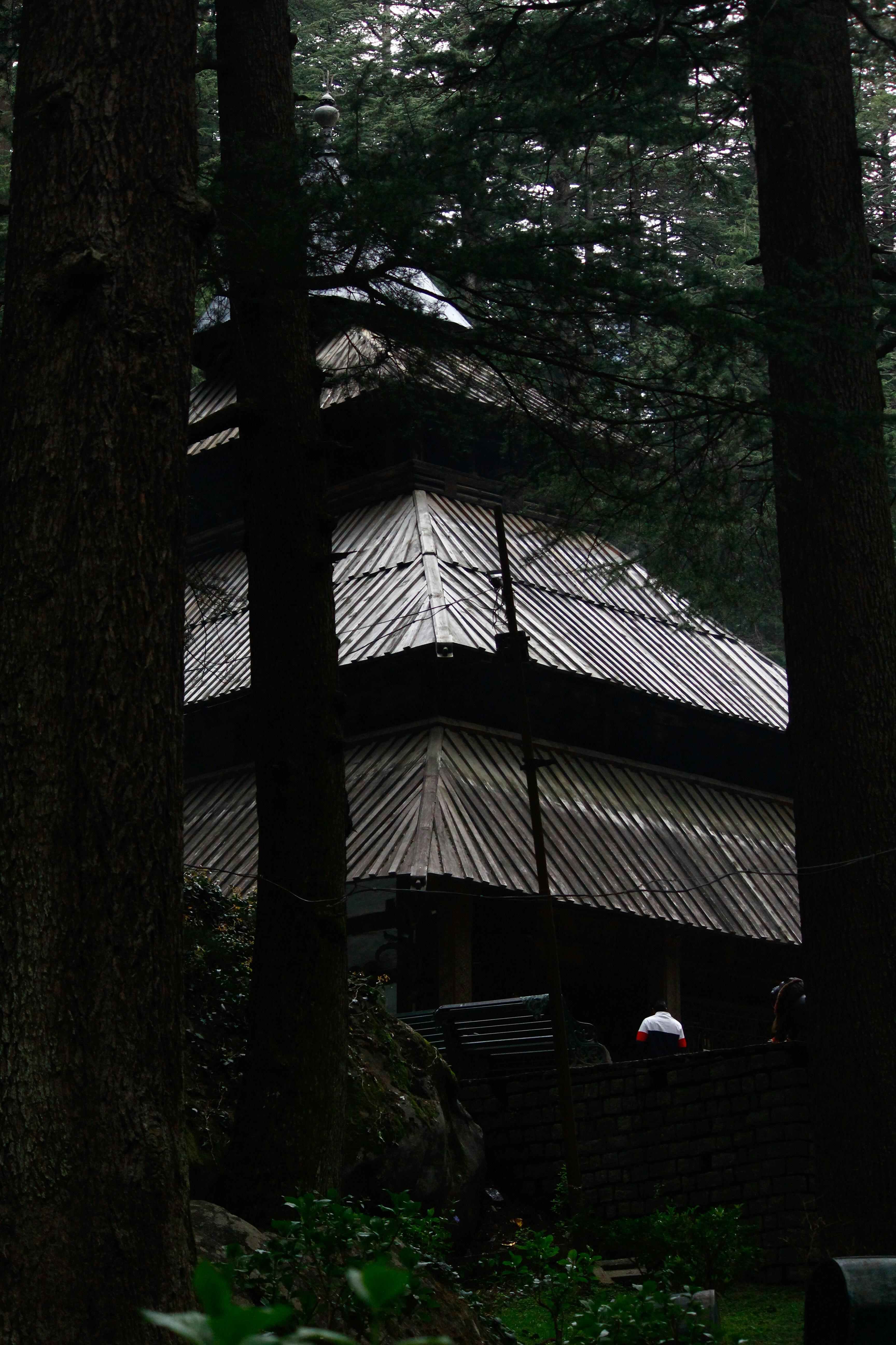 a small building in the middle of a forest