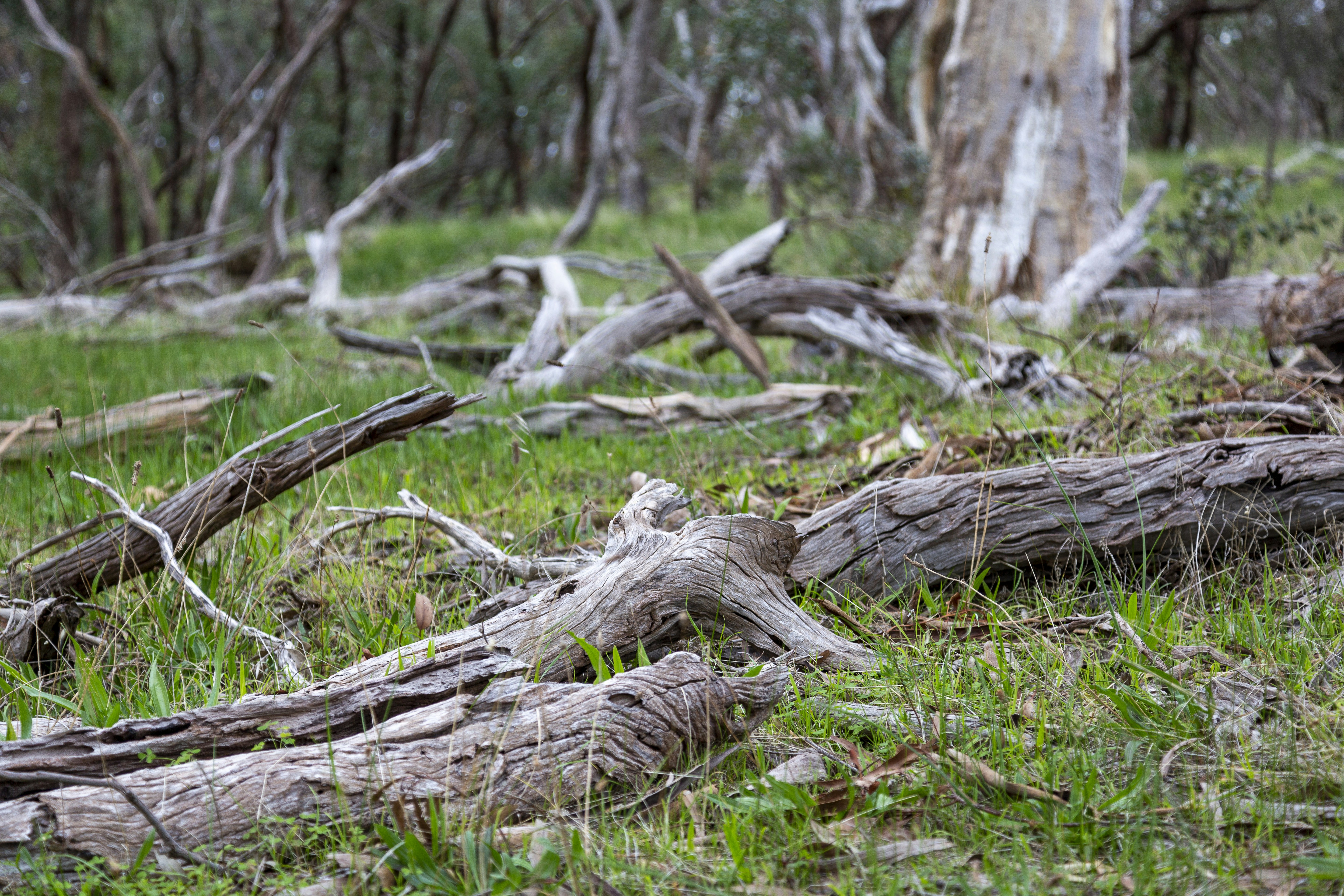 Photo by stephenmabbs