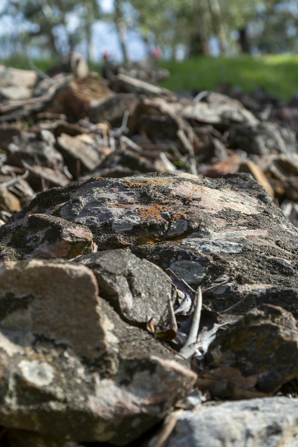 a close up of rocks with grass in the background