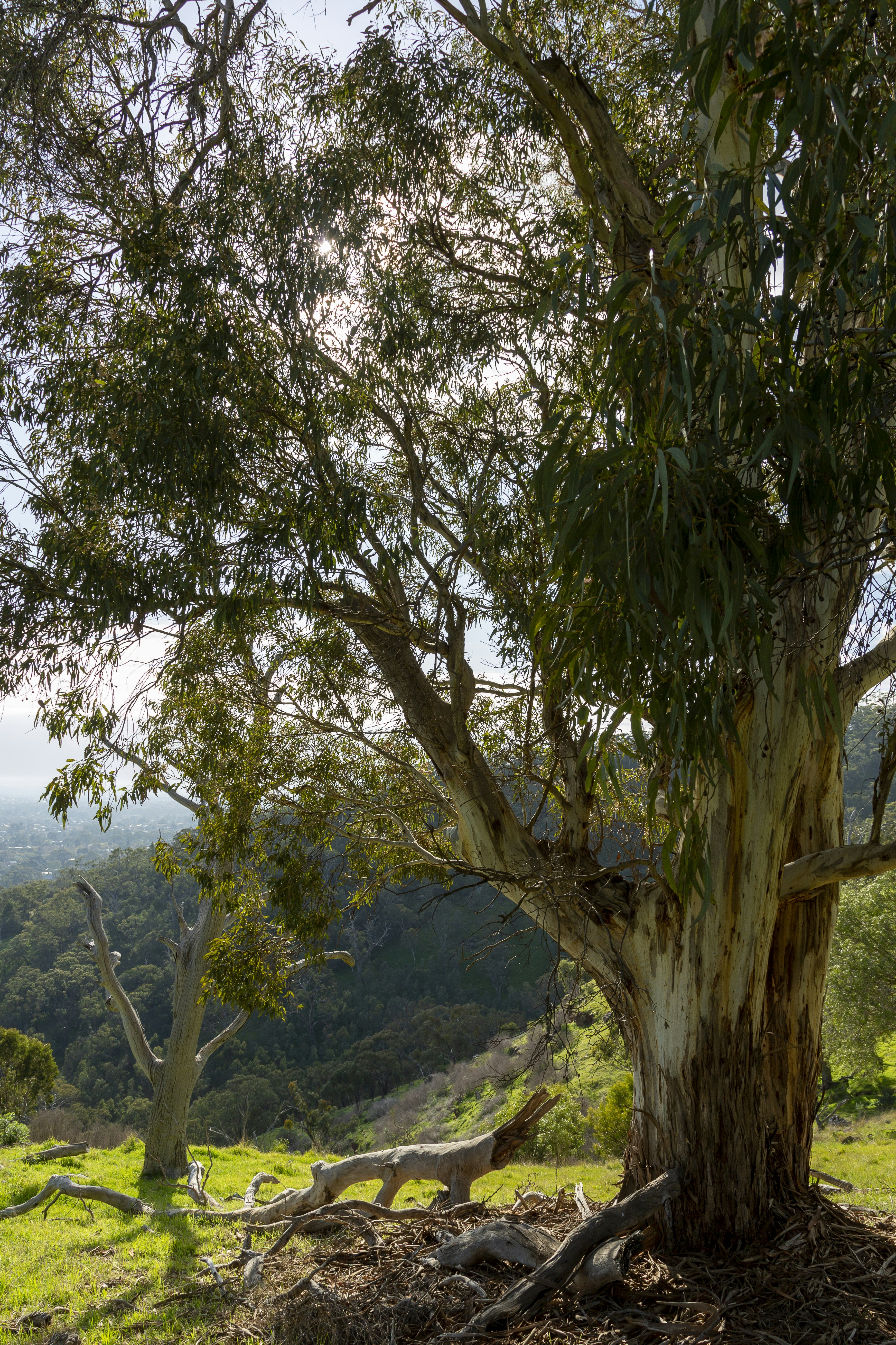 Photo by stephenmabbs