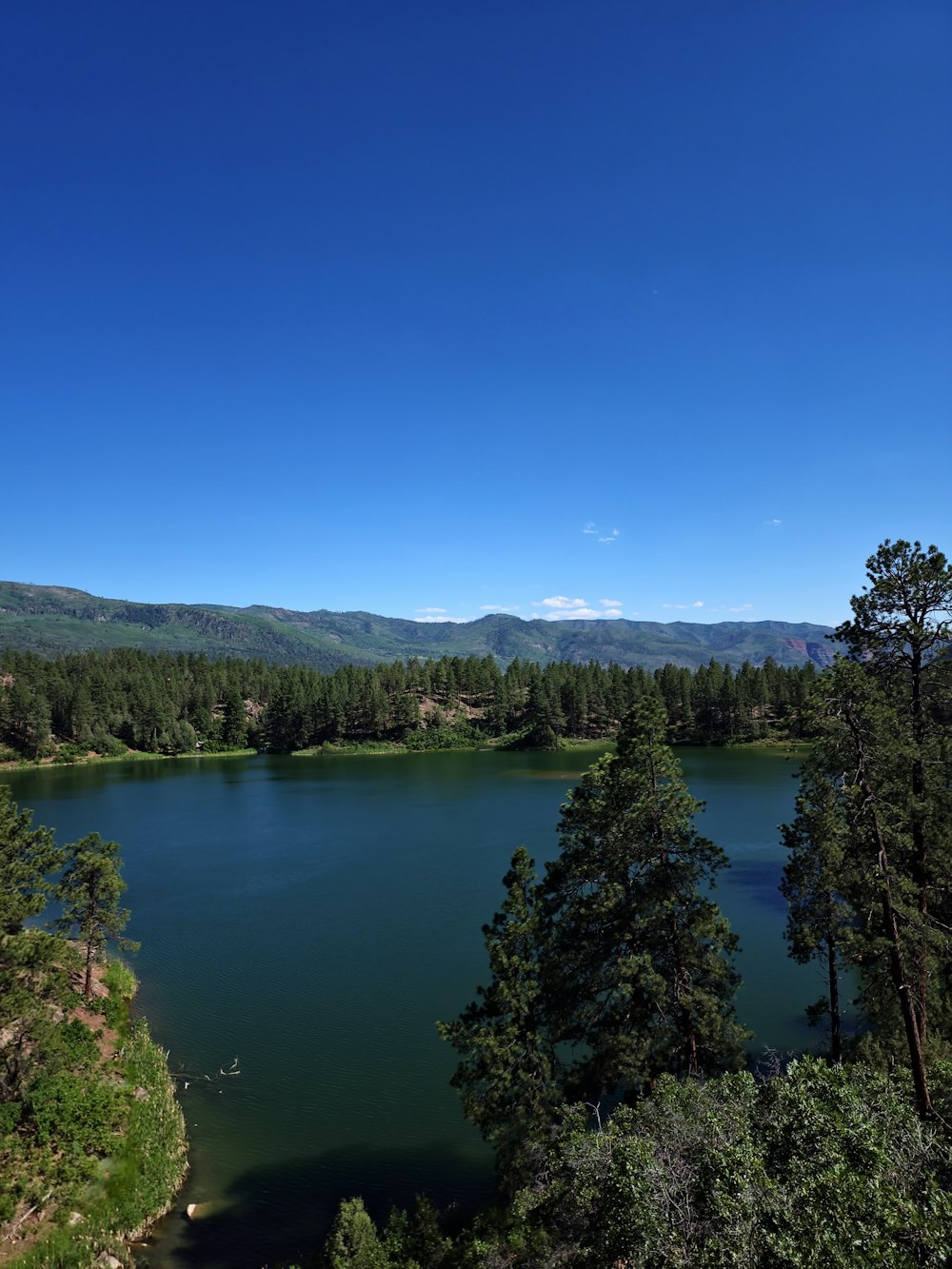 Ein See, umgeben von Bäumen und Bergen unter blauem Himmel