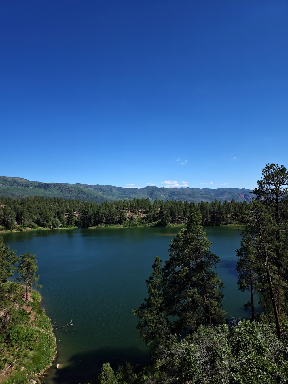 Un lago rodeado de árboles y montañas bajo un cielo azul