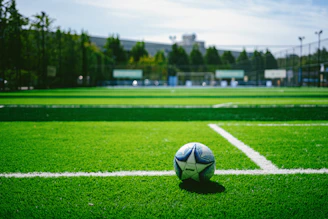 a soccer ball sitting on top of a lush green field