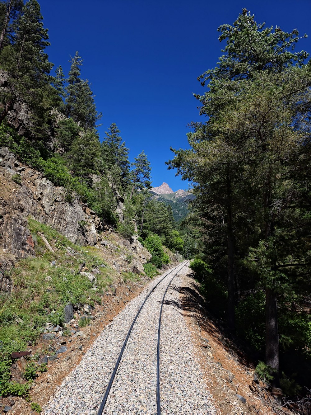 a train track running through a forest with mountains in the background