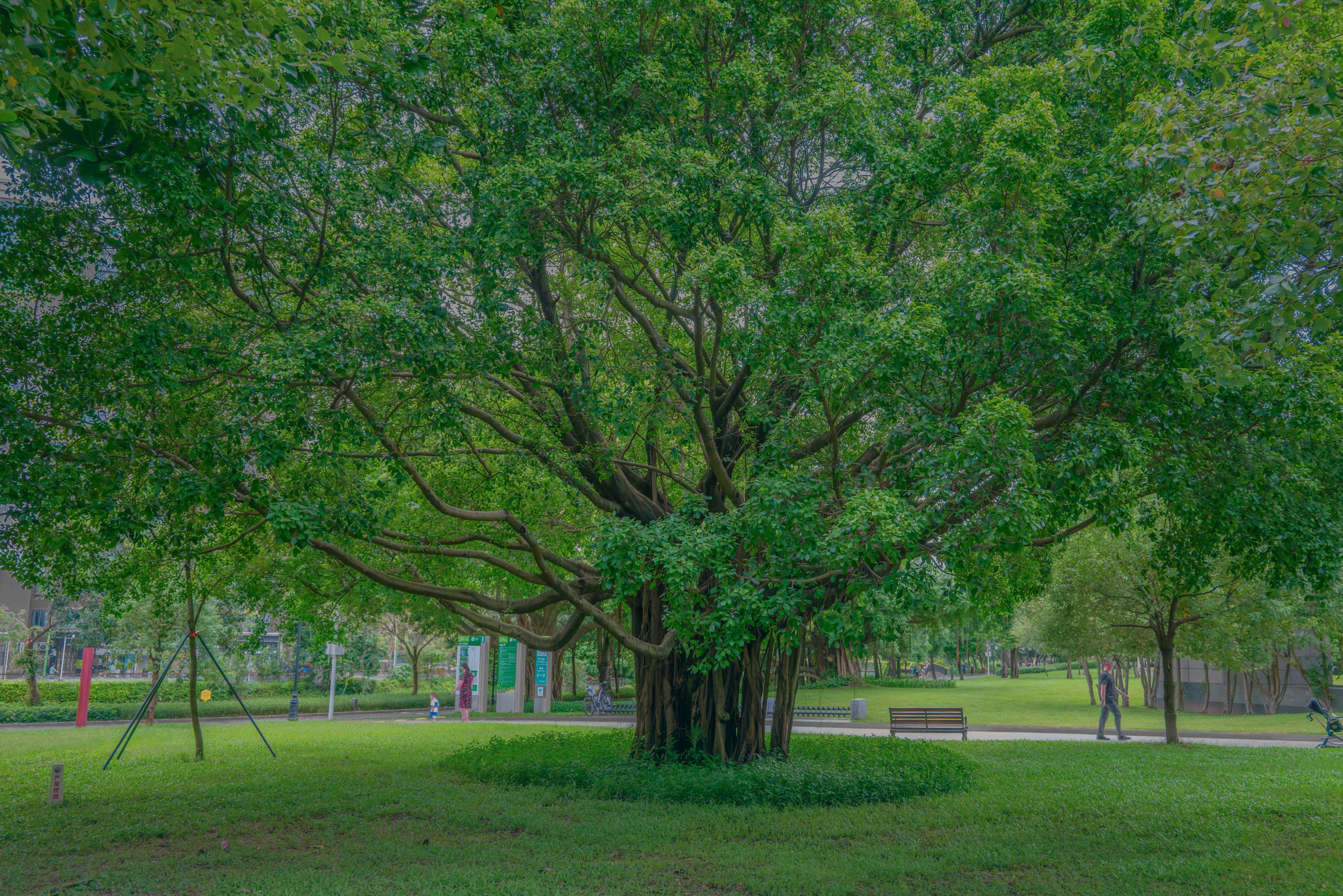 Photo by wangbinghua