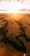 Aerial drone view over a large rural field with clear boundary lines at sunset.