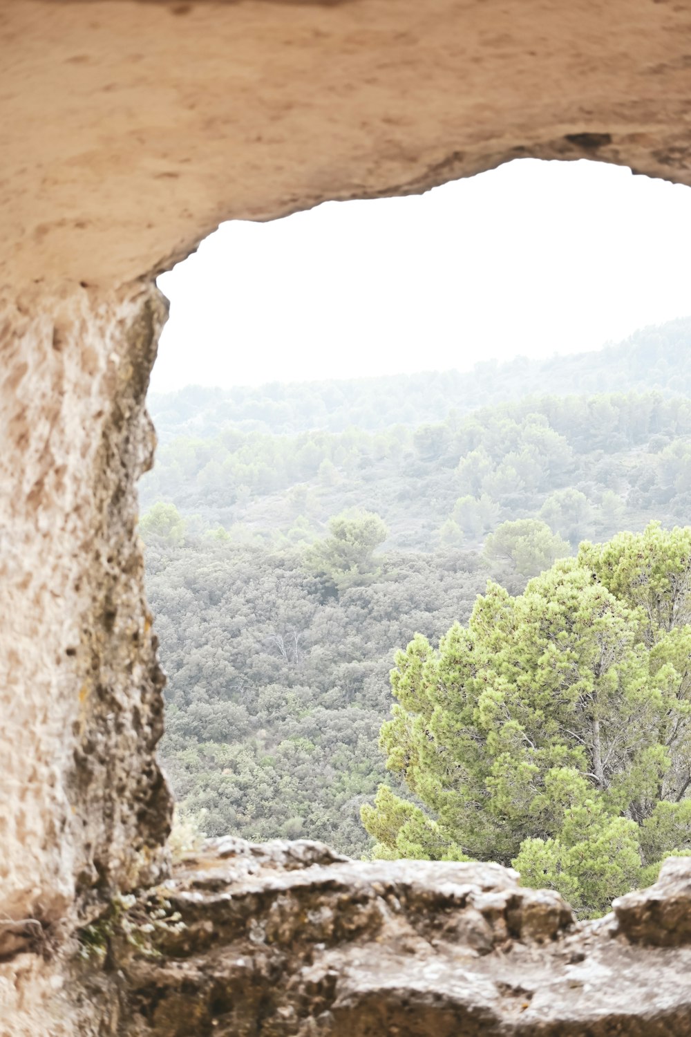 a window in a stone wall with a view of a forest