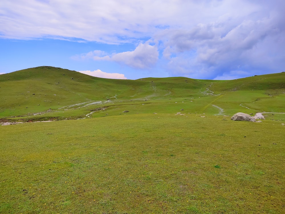 a grassy field with a hill in the background