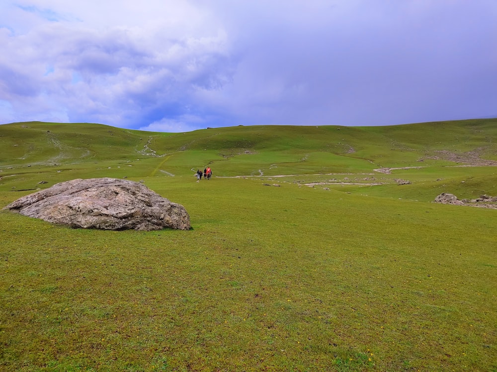 a large rock sitting on top of a lush green field