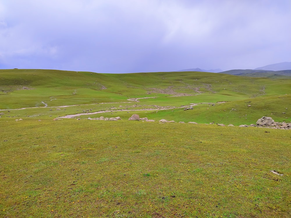 a grassy field with a few rocks in the distance