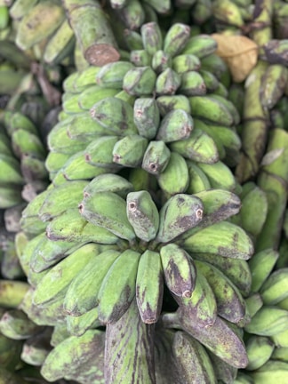 A close-up view of a large cluster of raw green bananas still attached to their stalk. The bananas have a slightly textured surface with shades of green and brown, indicating they are unripe.