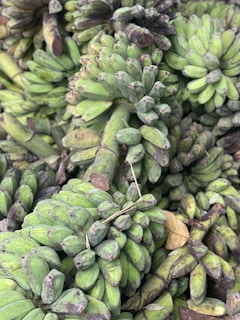 A pile of unripe green plantains with thick stems and closely packed clusters. The surfaces show rough textures and patches of brown, indicating natural growth and handling.