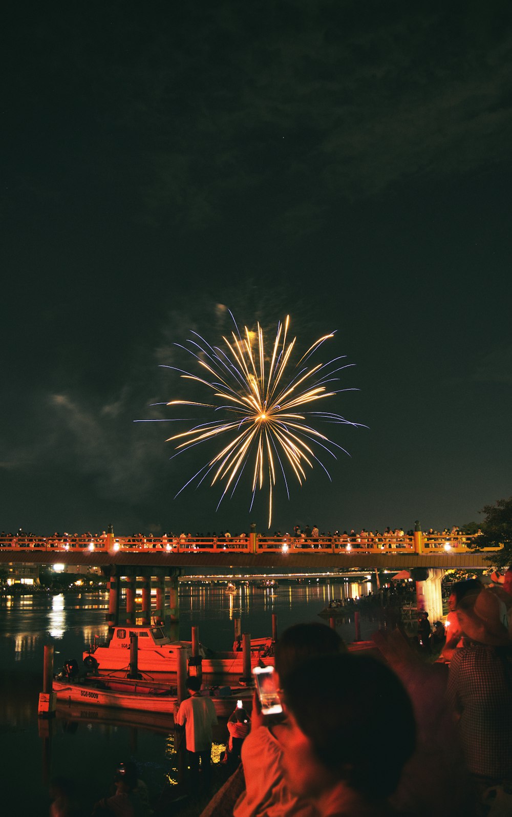 Des feux d’artifice sont allumés dans le ciel nocturne au-dessus de l’eau