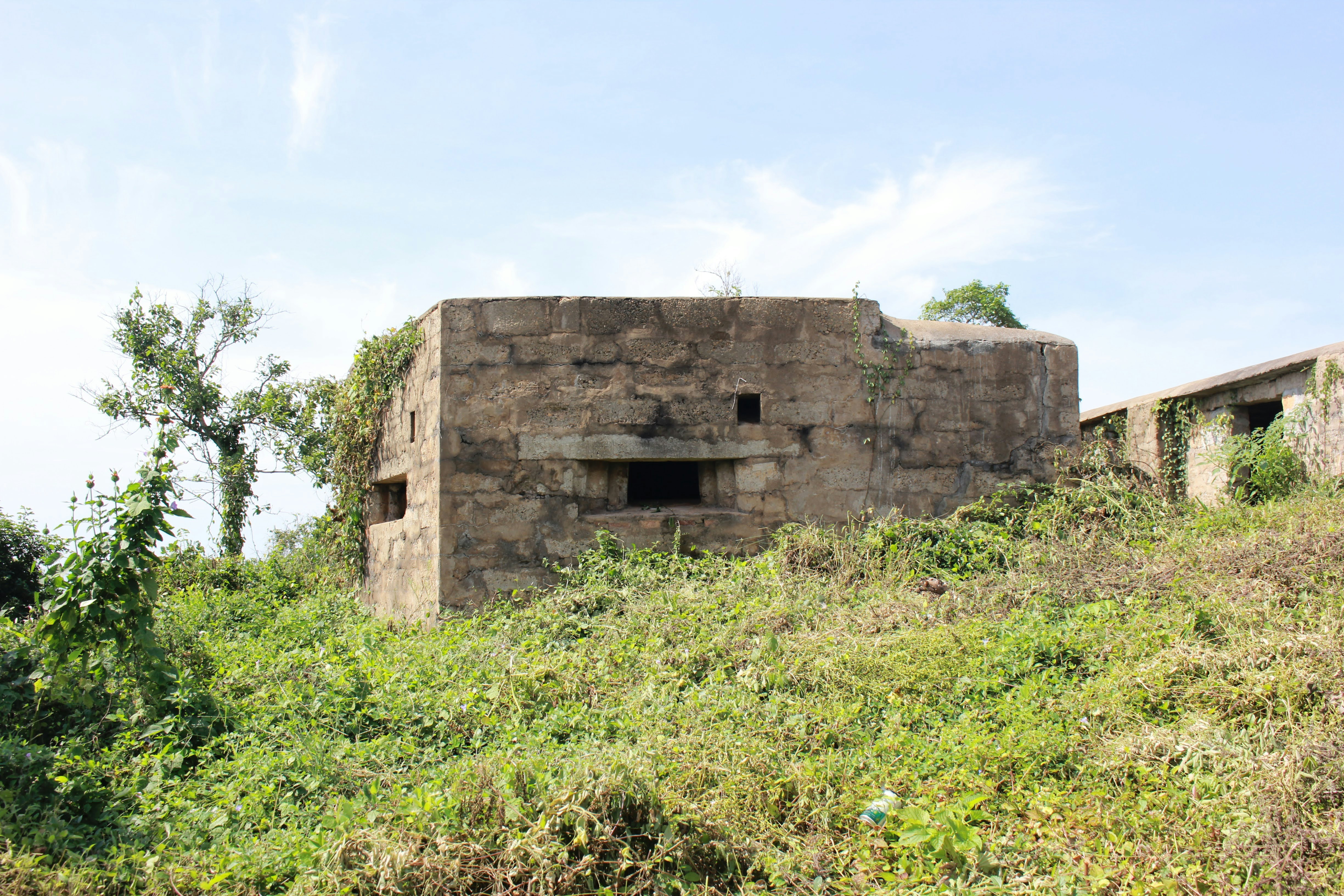 Old Fort (Ngome Kongwe) photo 3