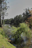 A tranquil Amazon river scene with lush rainforest on either side.