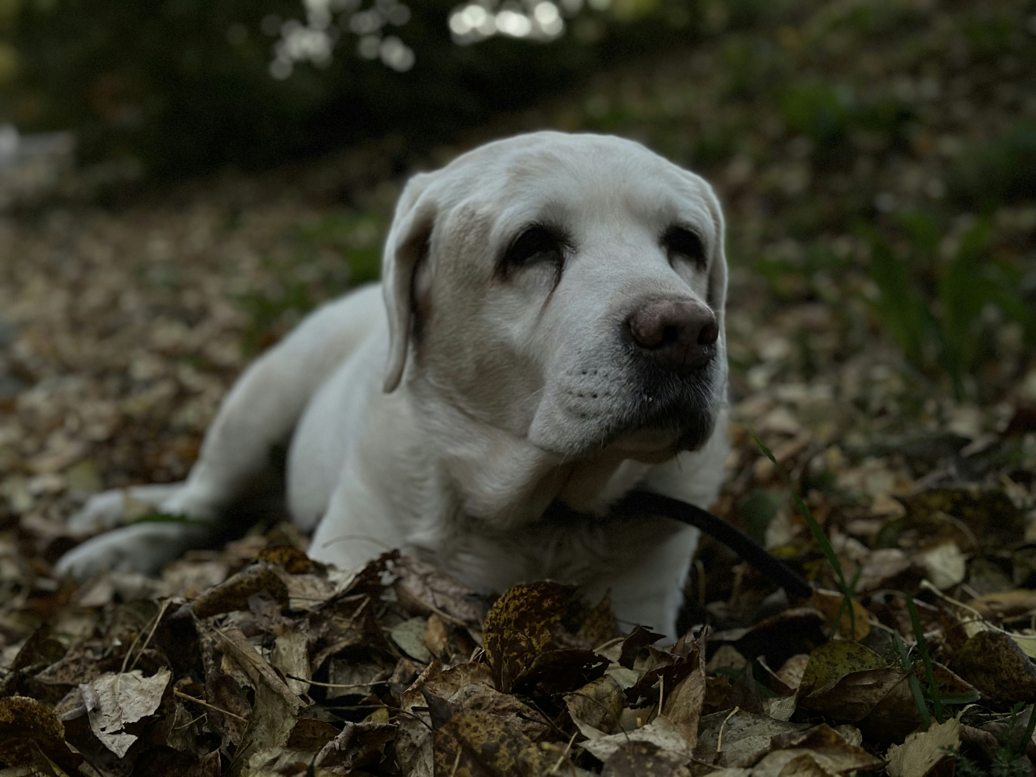 Photo by be3uh4uk_dasha