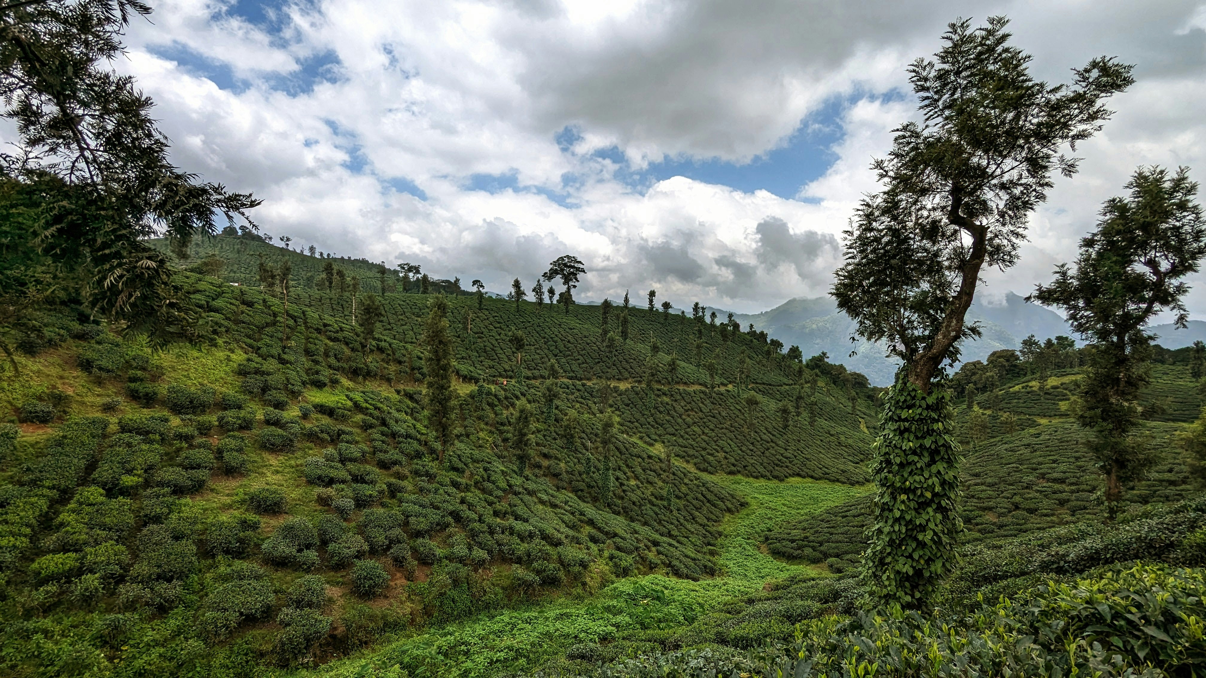 Photo by jchandran