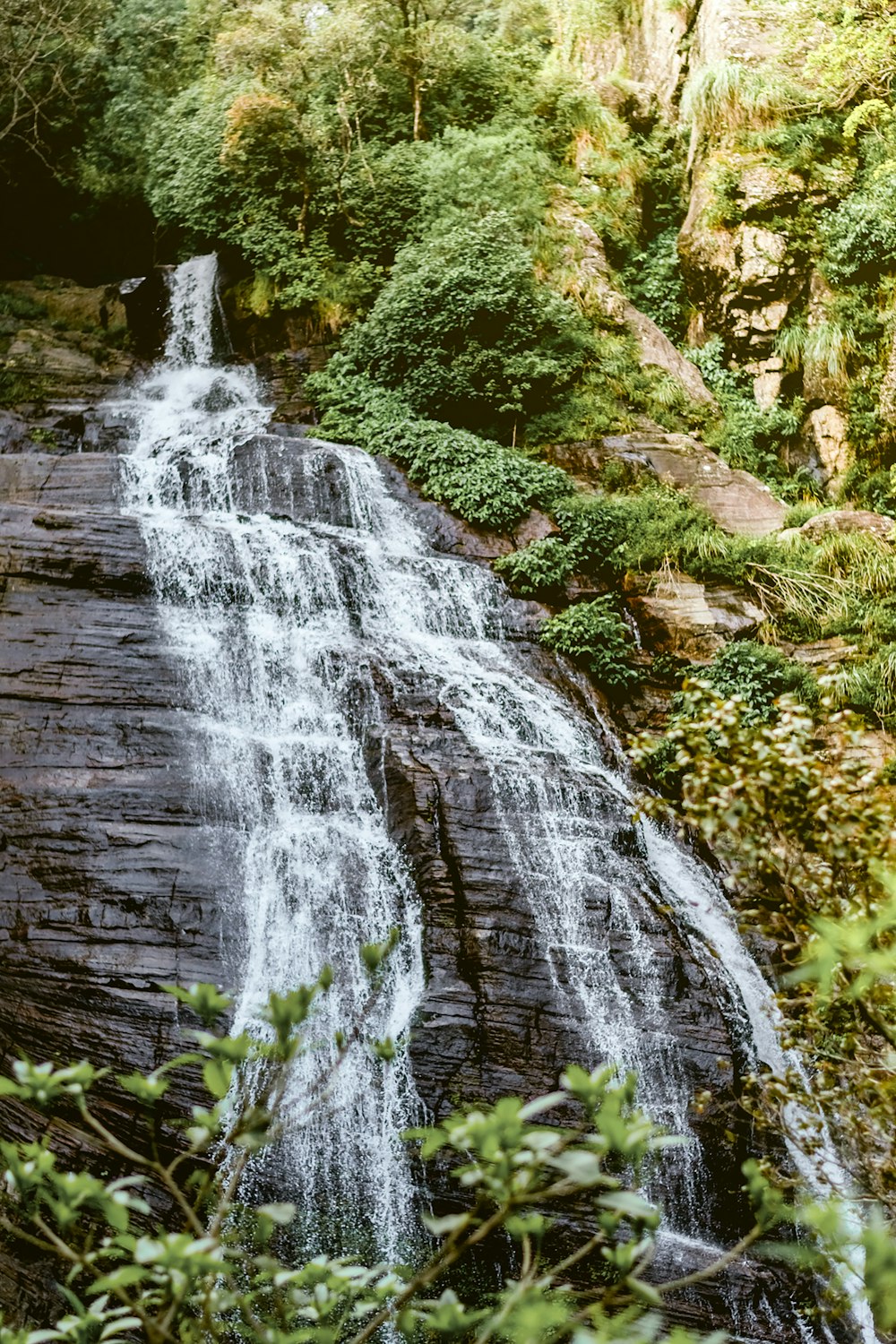 a waterfall in the middle of a forest