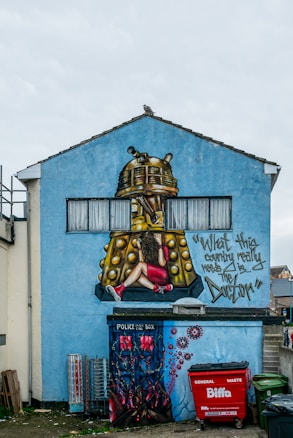 A mural on the side of a house depicts a large Dalek, a fictional character from Doctor Who, with a woman sitting on its base. The woman is dressed in red and appears to be pulling her hair. Next to the Dalek is the phrase 'What this country really needs is... the Doctor'. Below the mural, there is a painted 'POLICE BOX', reminiscent of the TARDIS from the same series, adorned with lights and flowers. A red waste bin labeled 'general waste' is positioned in front of the wall.