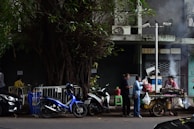 A street food vendor serves customers at a mobile cart under a large tree. The scene includes two men engaged in conversation next to the cart, which is emitting smoke, suggesting grilled food. Multiple motorcycles and a blue scooter are parked alongside the curb, while another person sits behind a metal railing closer to the tree.