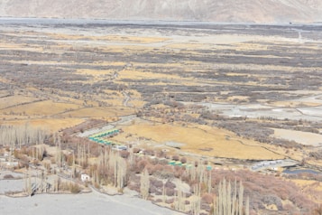 An expansive landscape featuring open fields with earthy tones and subtle patches of greenery. A line of structures with green roofs is visible, likely cabins or small buildings. Tall, slender trees add vertical interest to the otherwise flat terrain. The backdrop includes distant rolling hills or mountains.