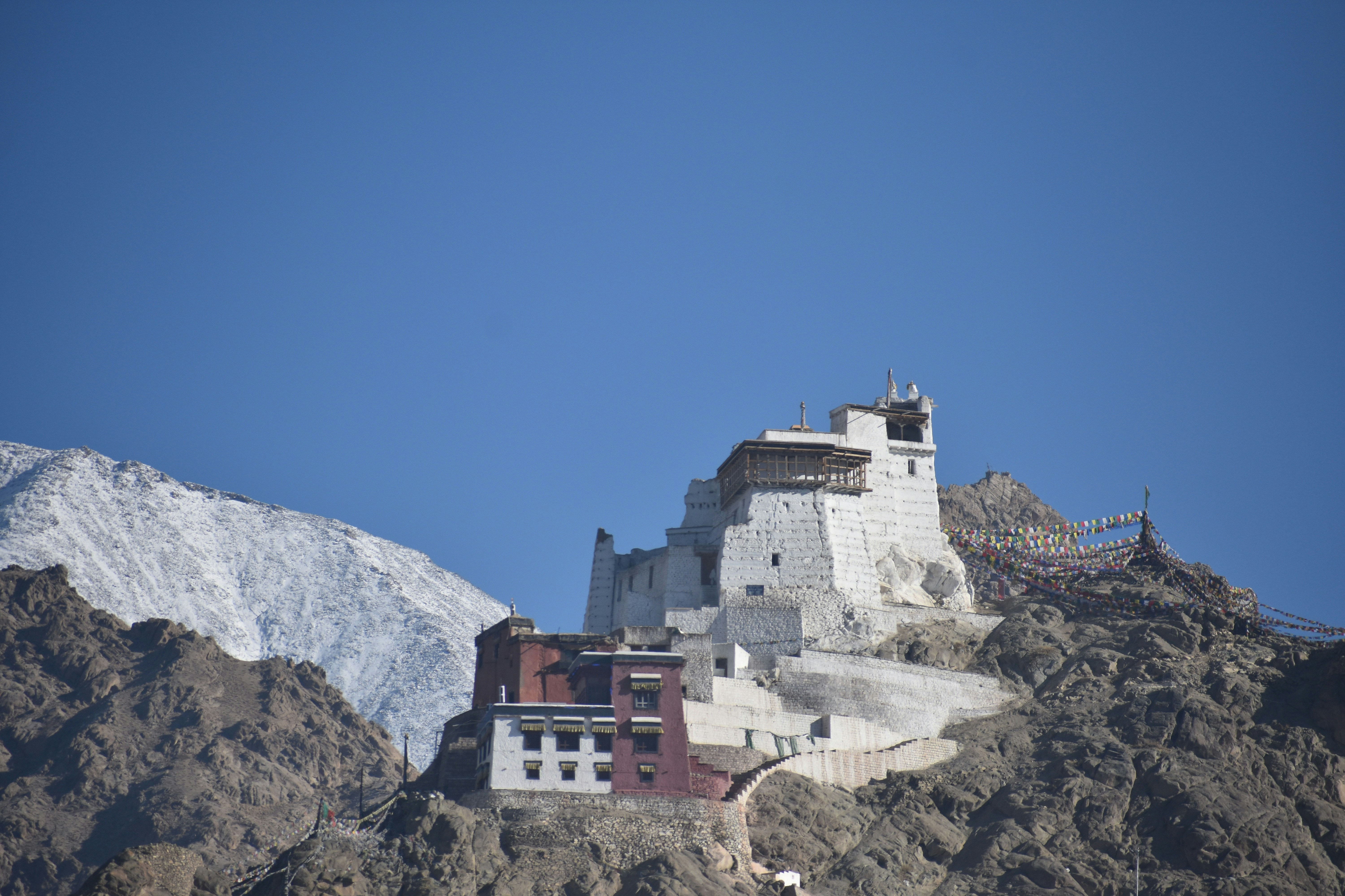 Snow Leopard Visits Himalayan Monks (image credits: unsplash)