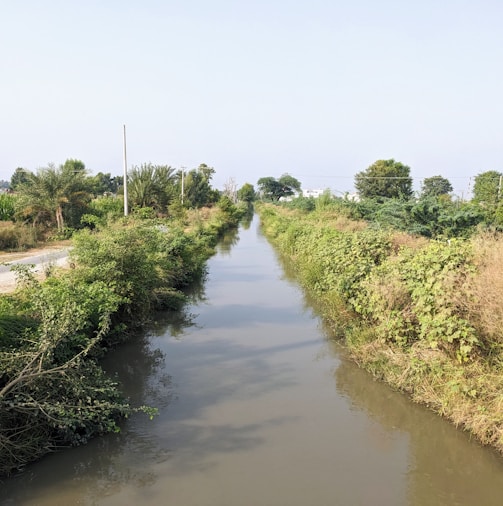 a river running through a lush green countryside