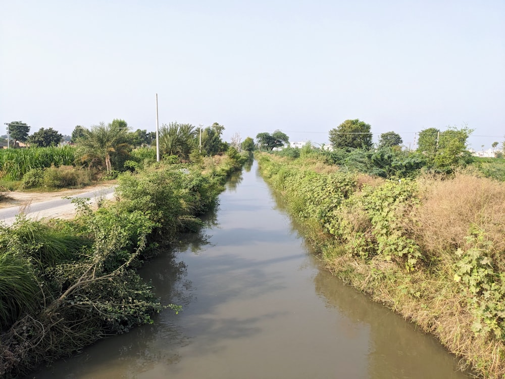 Un río que corre a través de un exuberante campo verde