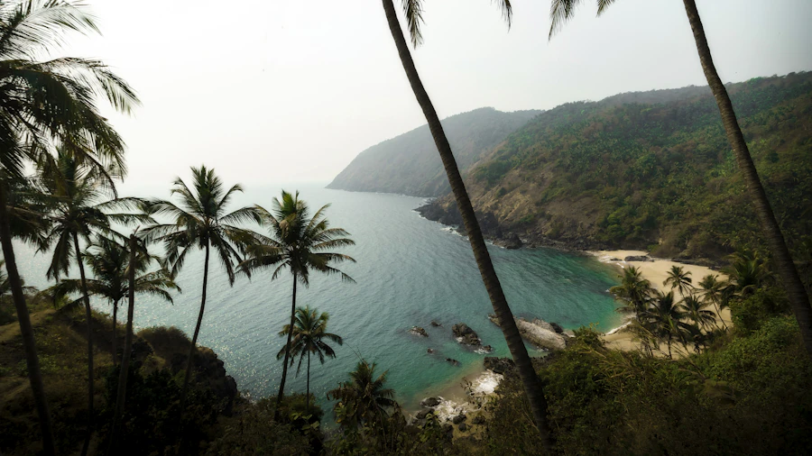 Palm trees framing a curved beach and turquoise water in Goa