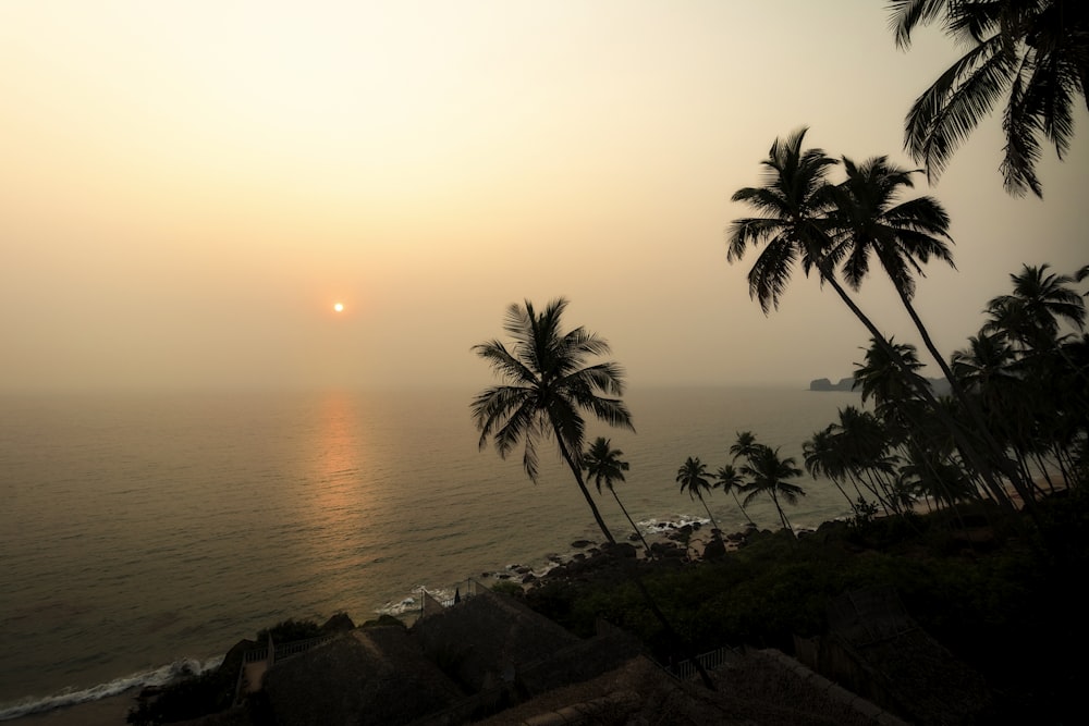 the sun is setting over the ocean with palm trees