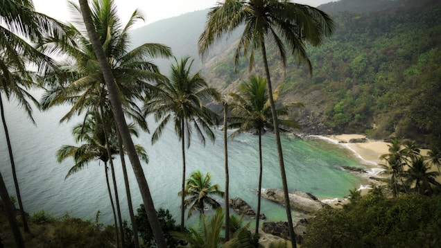 Luxury Hotels in Goa
